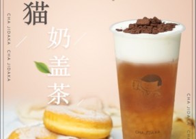 澳客：熊猫奶盖茶